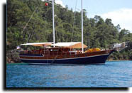 M/S Szabir