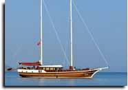m/s zeus