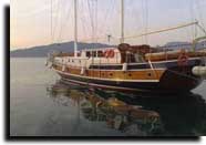 m/s arslan