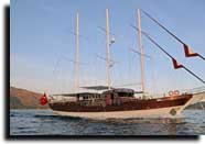 m/s Berrak Su