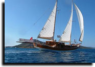 sehma captain