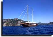 m/s Dear Lila