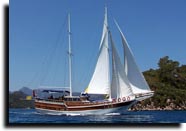 m/s okoto
