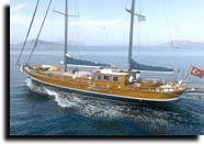 m/s captain sevket