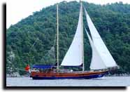 m/s olympos