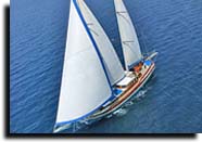 m/s jasmin