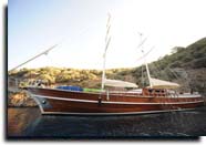 m/s Dear Lila