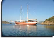 m/s Arde Deniz