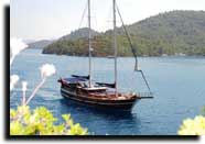 M/S Ugur