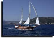 m/s doruk reis