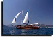 m/s holiday 5
