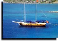 m/s k.sezen