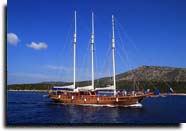 m/s tanyeli