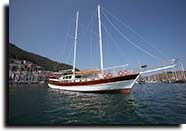 m/s caferoglu