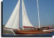 m/s caferoglu
